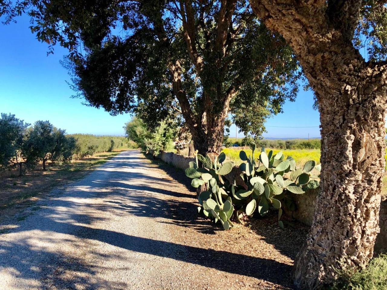 Agriturismo Ristorante Monte Argentario Extérieur photo